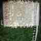 Lacesnmore Pearl Hanging lace for Blouse/Dresses  moti latkan Border Sleeve Design DIY Decoration Fabric Trim-WHITE-9
