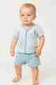 Cute Baby Boy Short Sleeve Top and Shorts Set multiple colours