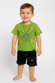 Toddler Boy's Spider Web T-Shirt With Shorts Set