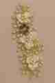 Elegant Floral Hair Vine with Rhinestone Embellishments